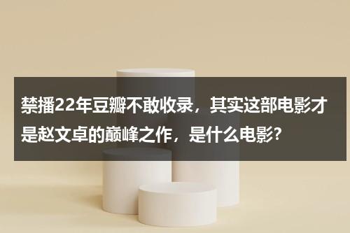 禁播22年豆瓣不敢收录，其实这部电影才是赵文卓的巅峰之作，是什么电影？-第1张图片-九妖电影