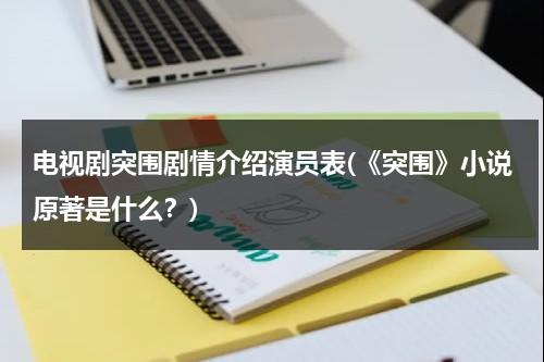 电视剧突围剧情介绍演员表(《突围》小说原著是什么？)-第1张图片-九妖电影