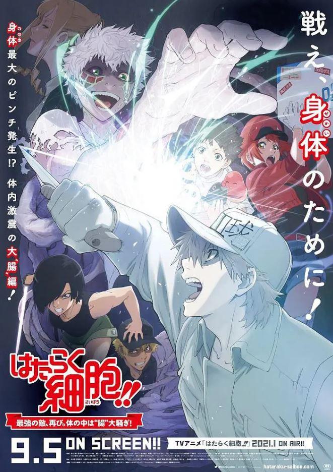 2020年日本6.9分动画片《工作细胞：细胞大作战》BD日语中字-第1张图片-九妖电影