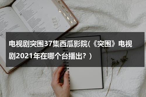 电视剧突围37集西瓜影院(《突围》电视剧2021年在哪个台播出？)-第1张图片-九妖电影