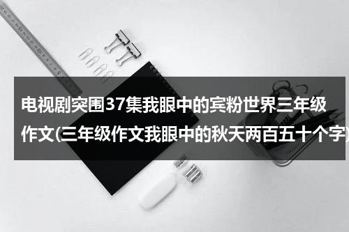 电视剧突围37集我眼中的宾粉世界三年级作文(三年级作文我眼中的秋天两百五十个字)-第1张图片-九妖电影