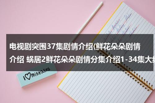 电视剧突围37集剧情介绍(鲜花朵朵剧情介绍 蜗居2鲜花朵朵剧情分集介绍1-34集大结局剧情简介)-第1张图片-九妖电影