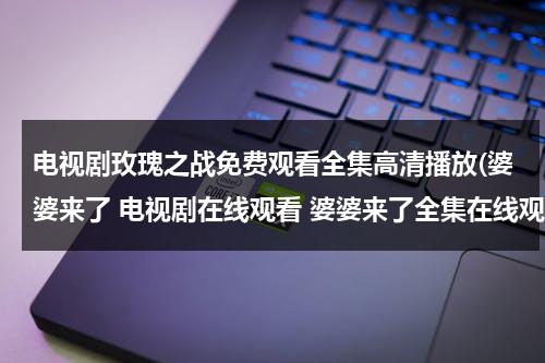 电视剧玫瑰之战免费观看全集高清播放(婆婆来了 电视剧在线观看 婆婆来了全集在线观看 婆婆来了大结局在线观看)-第1张图片-九妖电影