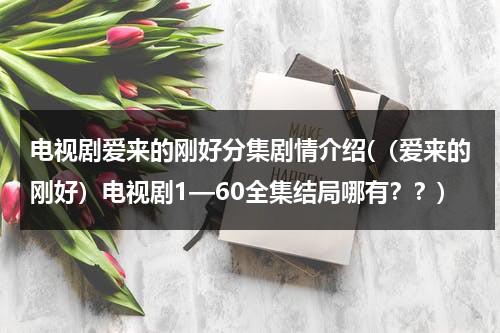 电视剧爱来的刚好分集剧情介绍(（爱来的刚好）电视剧1—60全集结局哪有？？)-第1张图片-九妖电影