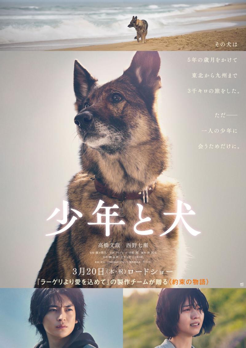 《少年与犬》首曝预告 高桥文哉主演直木奖作品（少年与狗小说作文450字六年级）-第1张图片-九妖电影