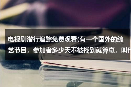 电视剧潜行追踪免费观看(有一个国外的综艺节目，参加者多少天不被找到就算赢，叫什么)-第1张图片-九妖电影