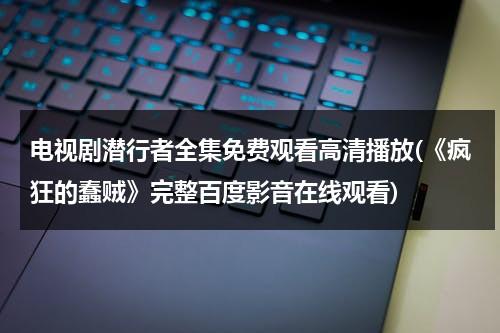 电视剧潜行者全集免费观看高清播放(《疯狂的蠢贼》完整百度影音在线观看)-第1张图片-九妖电影