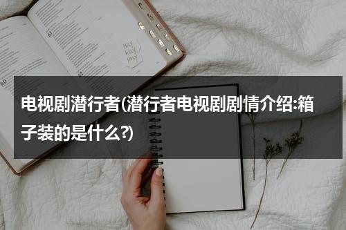 电视剧潜行者(潜行者电视剧剧情介绍:箱子装的是什么?)-第1张图片-九妖电影