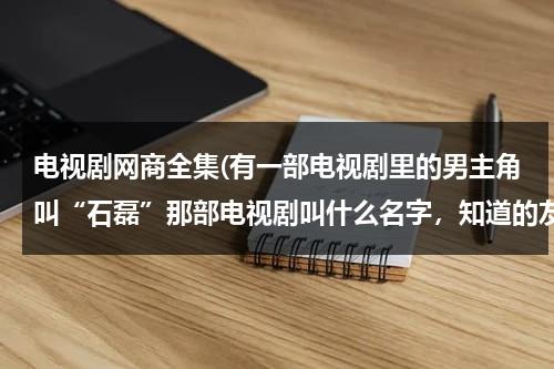 电视剧网商全集(有一部电视剧里的男主角叫“石磊”那部电视剧叫什么名字，知道的友友们赶紧啊，急急急。。。)-第1张图片-九妖电影