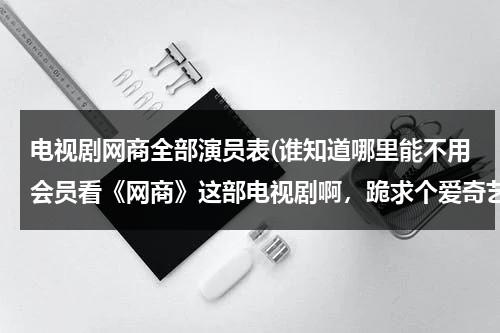 电视剧网商全部演员表(谁知道哪里能不用会员看《网商》这部电视剧啊，跪求个爱奇艺会员)-第1张图片-九妖电影