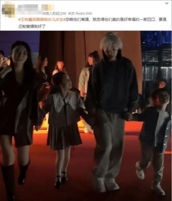 王栎鑫与吴雅婷：从离婚到和谐共处的转变内幕揭秘-第1张图片-九妖电影