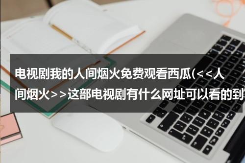 电视剧我的人间烟火免费观看西瓜(这部电视剧有什么网址可以看的到?)（我们的人间烟火）-第1张图片-九妖电影