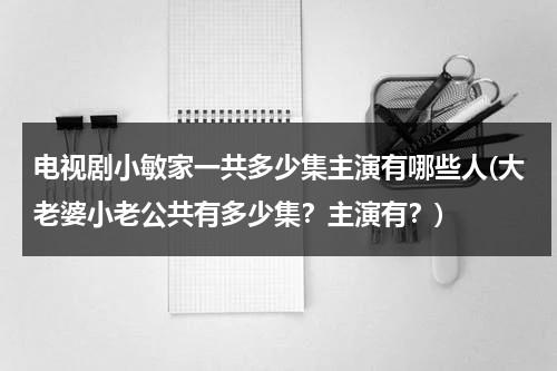 电视剧小敏家一共多少集主演有哪些人(大老婆小老公共有多少集？主演有？)（小敏的婚姻）-第1张图片-九妖电影