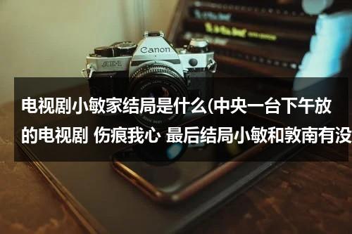 电视剧小敏家结局是什么(中央一台下午放的电视剧 伤痕我心 最后结局小敏和敦南有没有在一起 奶奶有没有被安查丽害死 ...)（电视剧小敏家开播了吗）-第1张图片-九妖电影