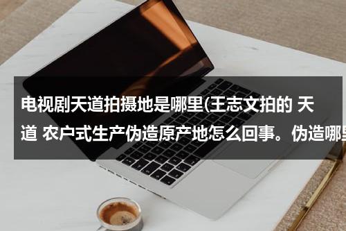 电视剧天道拍摄地是哪里(王志文拍的 天道 农户式生产伪造原产地怎么回事。伪造哪里产地了)（天道电视剧王志文版）-第1张图片-九妖电影