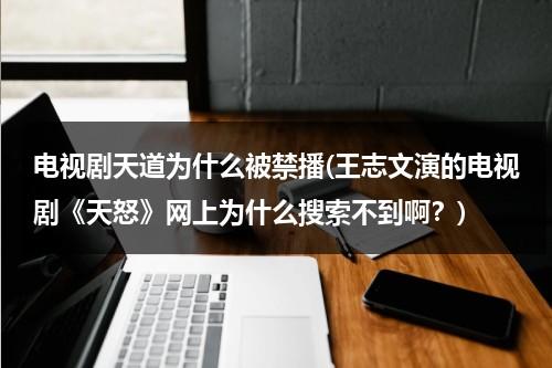 电视剧天道为什么被禁播(王志文演的电视剧《天怒》网上为什么搜索不到啊？)（天道为什么退网）-第1张图片-九妖电影