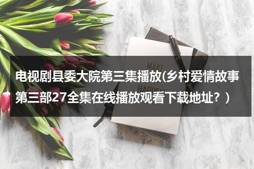 电视剧县委大院第三集播放(乡村爱情故事第三部27全集在线播放观看下载地址？)（县委大院下载）-第1张图片-九妖电影