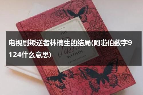 电视剧叛逆者林楠生的结局(阿啦伯数字9124什么意思)（叛逆者林楠笙第几集变好）-第1张图片-九妖电影