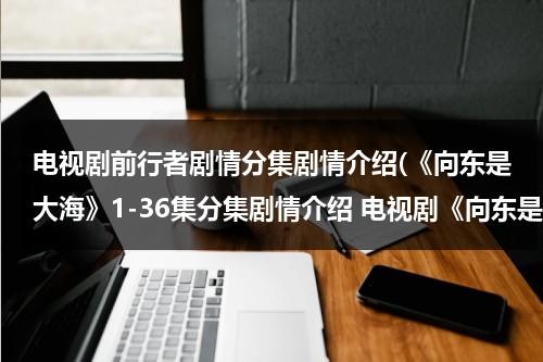 电视剧前行者剧情分集剧情介绍(《向东是大海》1-36集分集剧情介绍 电视剧《向东是大海》全集剧情介绍)（向前行走 什么意思?）-第1张图片-九妖电影