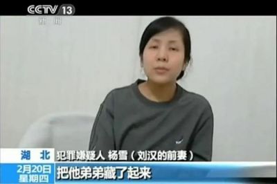 宗馥莉接班娃哈哈：独立女性的力量与婚姻困扰-第1张图片-九妖电影