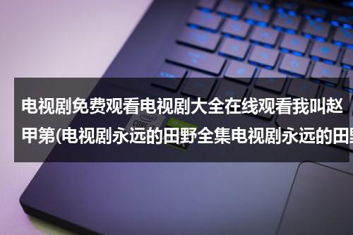 电视剧免费观看电视剧大全在线观看我叫赵甲第(电视剧永远的田野全集电视剧永远的田野优酷土豆网在线观看电视剧永远的田野下载)（我叫赵甲弟电视剧剧情介绍）-第1张图片-九妖电影