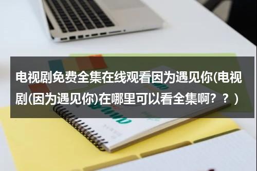 电视剧免费全集在线观看因为遇见你(电视剧(因为遇见你)在哪里可以看全集啊？？)（46集因为遇见你在线观看）-第1张图片-九妖电影