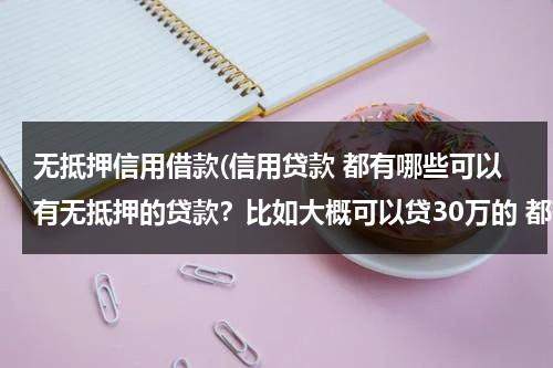 无抵押信用借款(信用贷款 都有哪些可以有无抵押的贷款？比如大概可以贷30万的 都有哪些呢？)（无抵押信用贷款利息是多少）-第1张图片-九妖电影