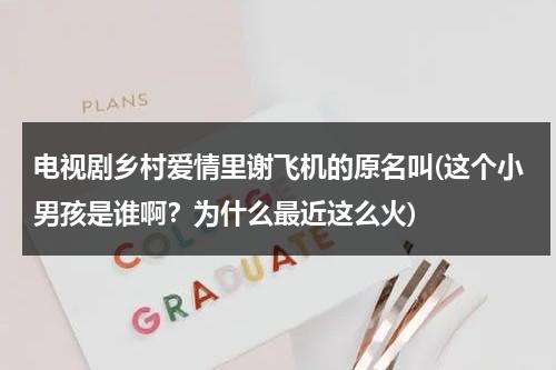 电视剧乡村爱情里谢飞机的原名叫(这个小男孩是谁啊？为什么最近这么火)（乡村爱情里谢腾飞现实是谁的孩子）-第1张图片-九妖电影