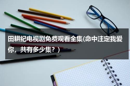 田耕纪电视剧免费观看全集(命中注定我爱你，共有多少集？)（田耕是什么意思?）-第1张图片-九妖电影