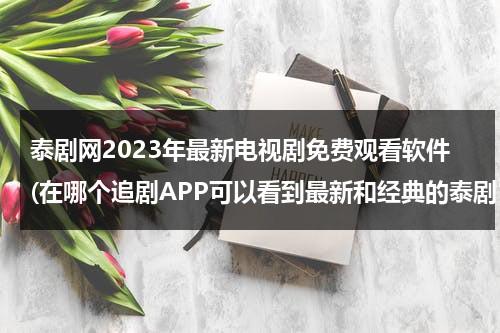 泰剧网2023年最新电视剧免费观看软件(在哪个追剧APP可以看到最新和经典的泰剧？)（泰剧网泰剧大全）-第1张图片-九妖电影