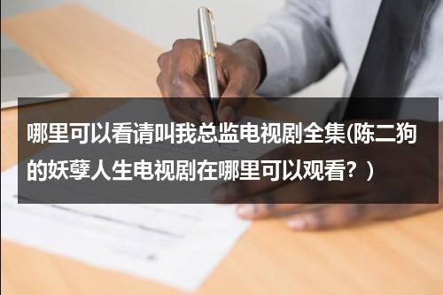 哪里可以看请叫我总监电视剧全集(陈二狗的妖孽人生电视剧在哪里可以观看？)（电视剧《请叫我总监》）-第1张图片-九妖电影