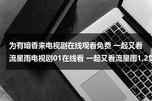 为有暗香来电视剧在线观看免费 一起又看流星雨电视剧01在线看 一起又看流星雨1,2集观看 一起又看流星雨全集在线观看（为有暗香来的全诗是什么）-第1张图片-九妖电影