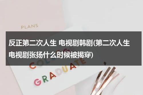 反正第二次人生 电视剧韩剧(第二次人生电视剧张扬什么时候被揭穿)（第二次人生张扬第几集坐牢）-第1张图片-九妖电影