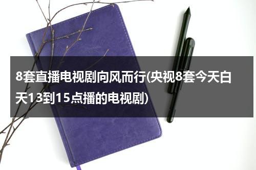 8套直播电视剧向风而行(央视8套今天白天13到15点播的电视剧)（央视八套在线直播视频）-第1张图片-九妖电影