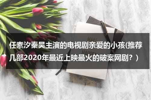 任素汐秦昊主演的电视剧亲爱的小孩(推荐几部2020年最近上映最火的破案网剧？)（亲爱的小孩小浩博）-第1张图片-九妖电影