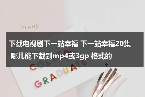 下载电视剧下一站幸福 下一站幸福20集 哪儿能下载到mp4或3gp 格式的（下一站,幸福 magnet）-第1张图片-九妖电影