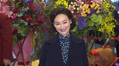 惠英红：从“打女”到演艺传奇，她的故事值得铭记-第1张图片-九妖电影