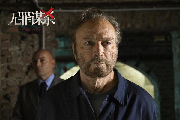无罪谋杀：科林尼案 The Collini Case-第3张图片-九妖电影
